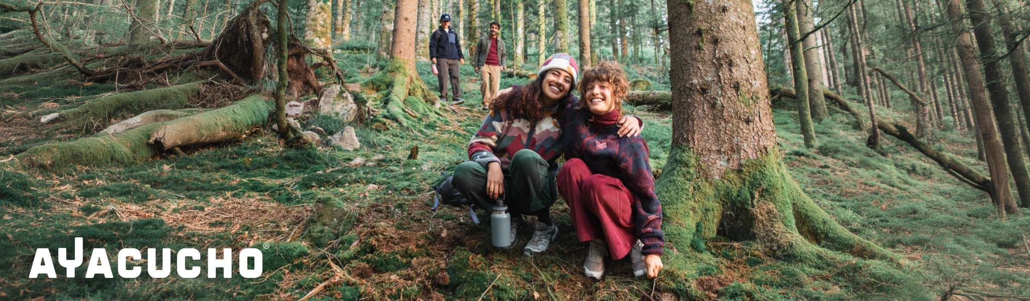 Boslandschap met vier wandelaars tussen mos en bomen
