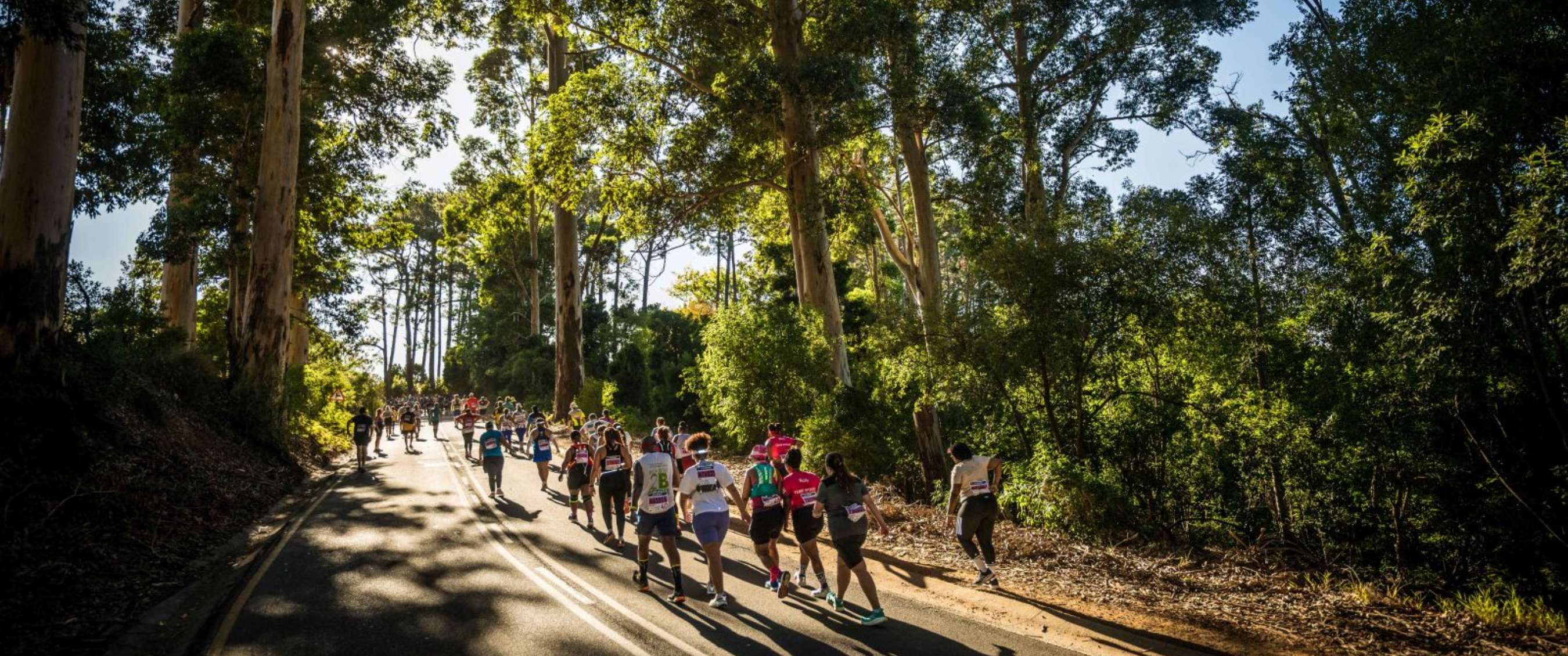 Marathonlopers rennen door een bosrijke omgeving over een asfaltweg met hoge bomen langs het parcours