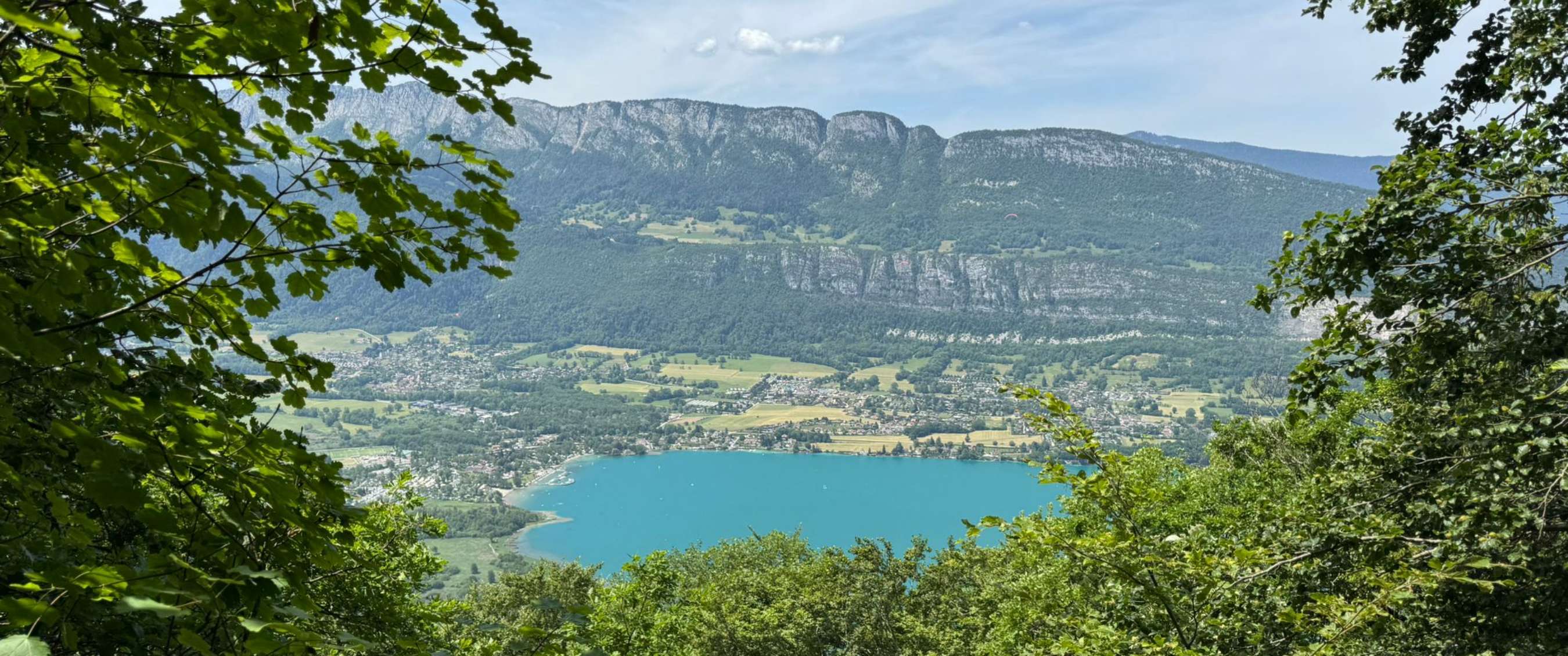 Panoramisch uitzicht op een turquoise meer, vallei en bergen door groene boomtakken.