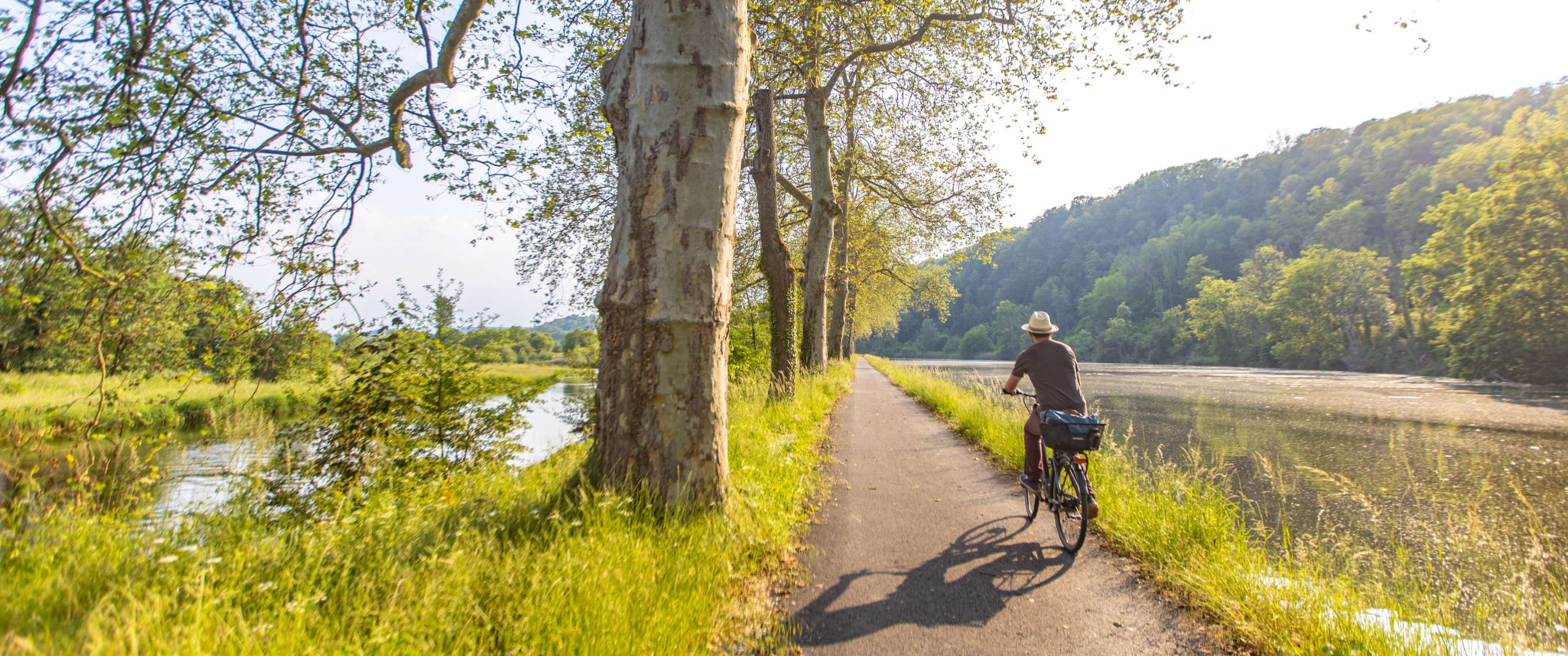 Fietser op een boomrijke oeverweg langs de rivier in warm avondlicht.