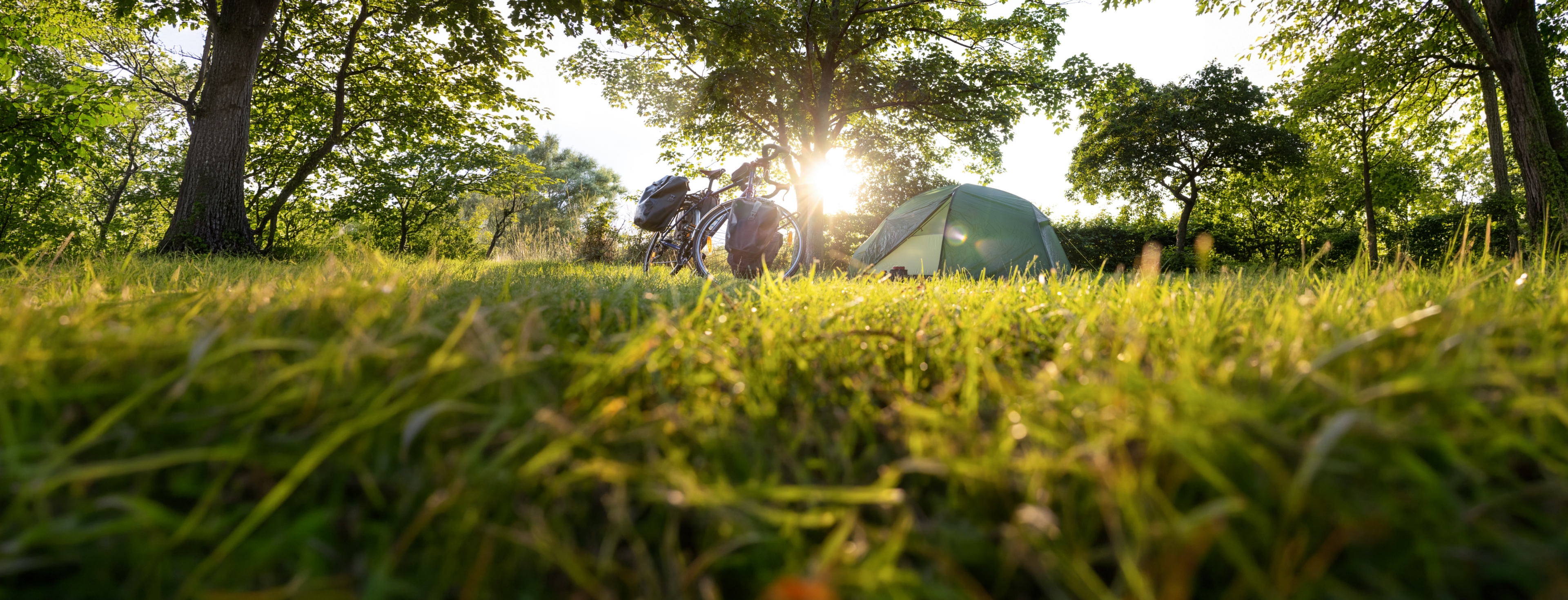 Fietsvakantie met kinderen: zo pak je het aan