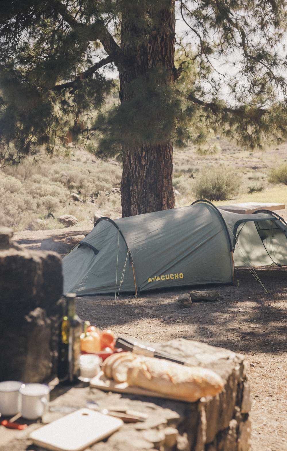 Tent onder een grote boom op een bosrijke camping, met tafel en kookgerei op de voorgrond