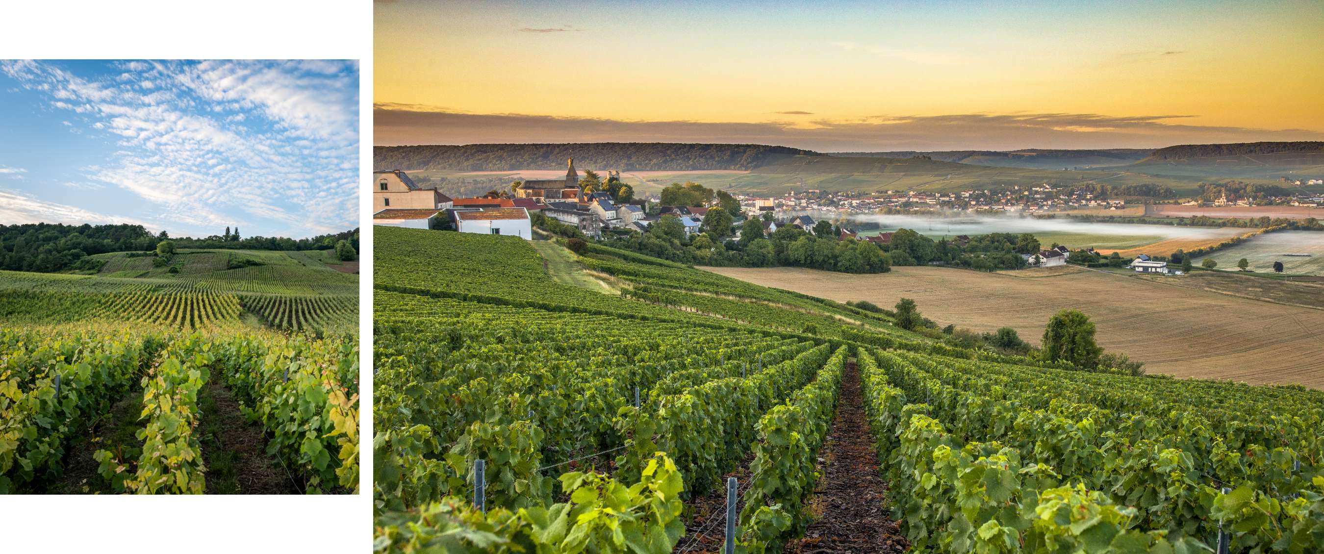 Twee beelden: wijngaard onder een blauwe lucht; wijngaard met dorp en velden bij zonsopkomst