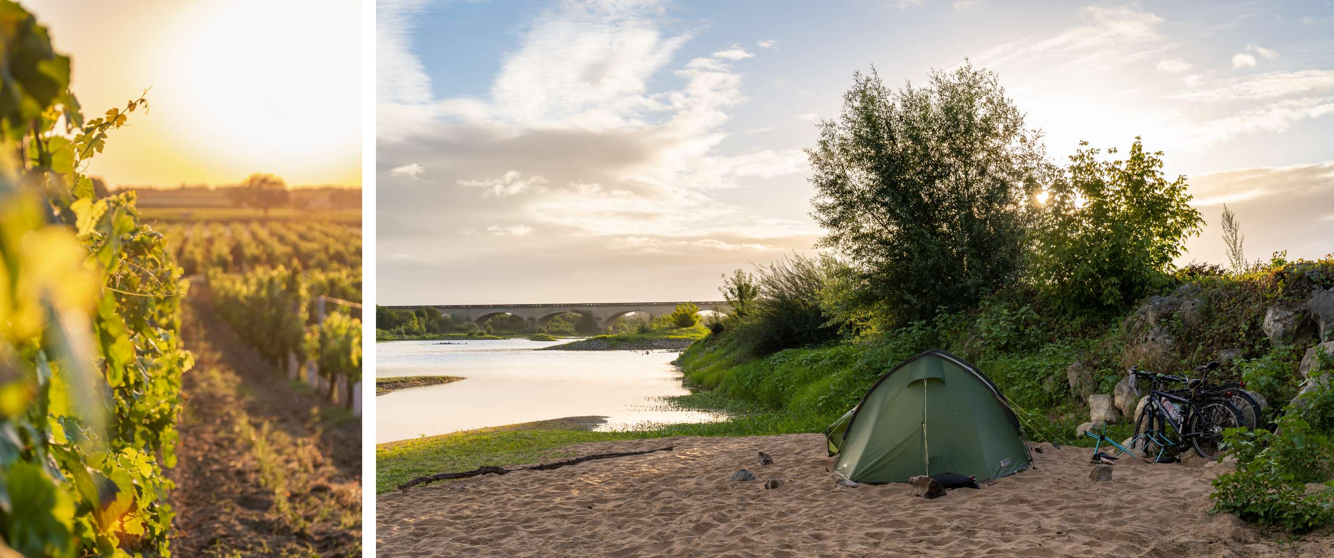 Twee beelden: wijngaard bij zonsondergang; kampeerplek aan de rivier met tent en fietsen
