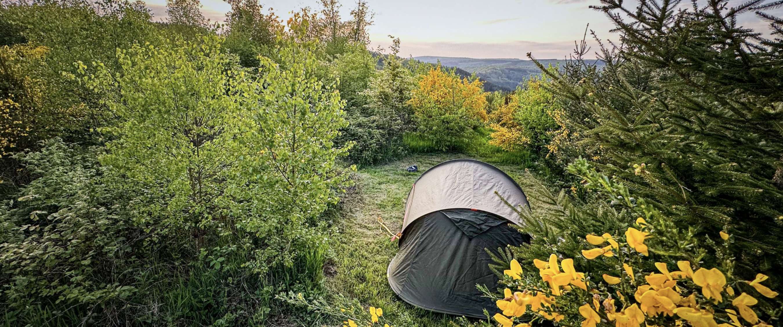 Grijze tent tussen groene struiken en gele bloemen in bosrijk landschap