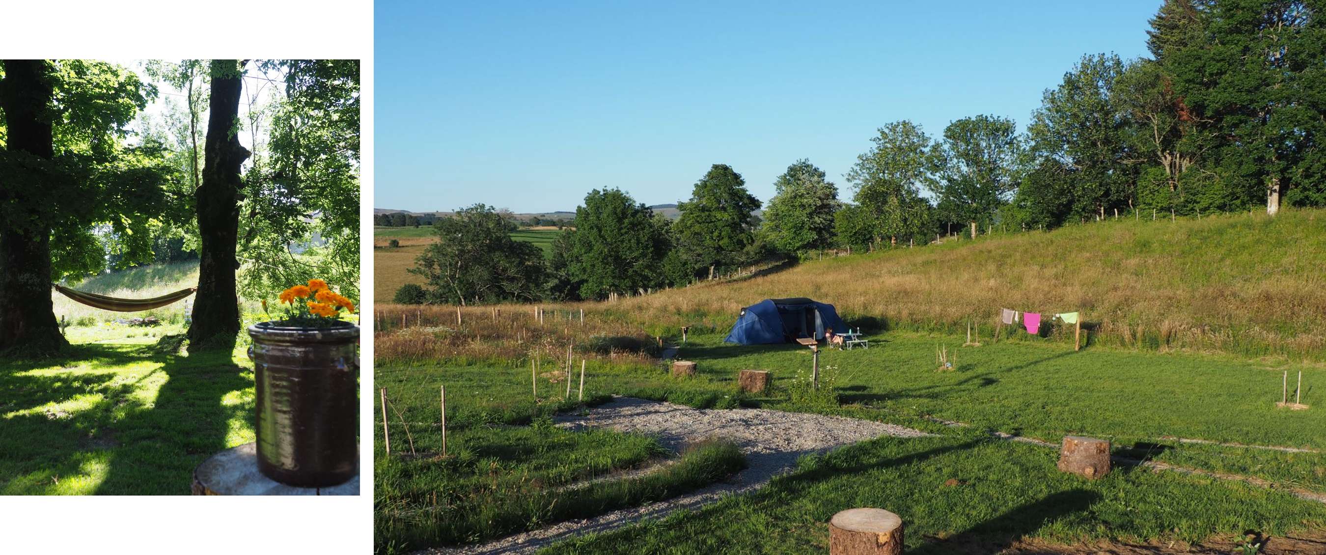 wee beelden: hangmat tussen bomen met bloemen; tent op groen heuvelachtig kampeerterrein