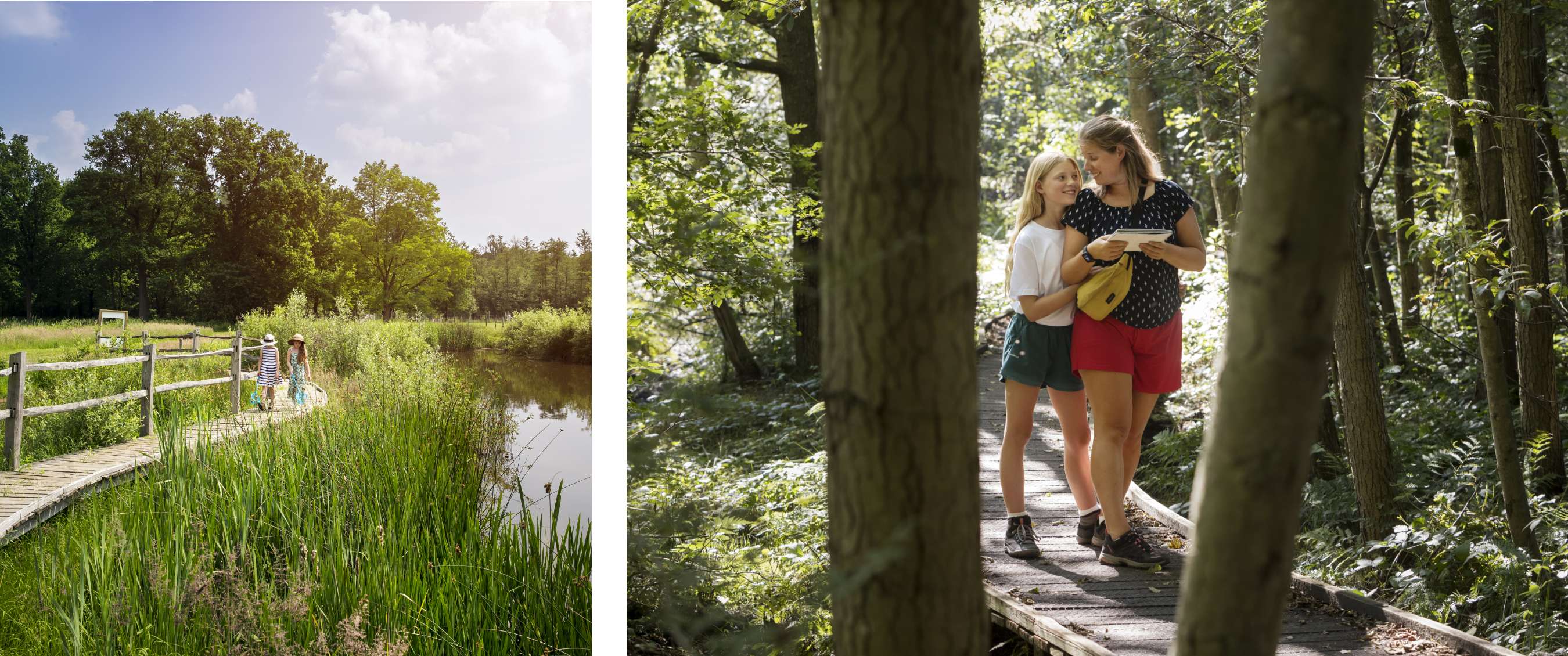 Twee beelden: kinderen wandelen op een houten vlonder langs riet en water; volwassene en kind lopen over een smal vlonderpad in het bos.