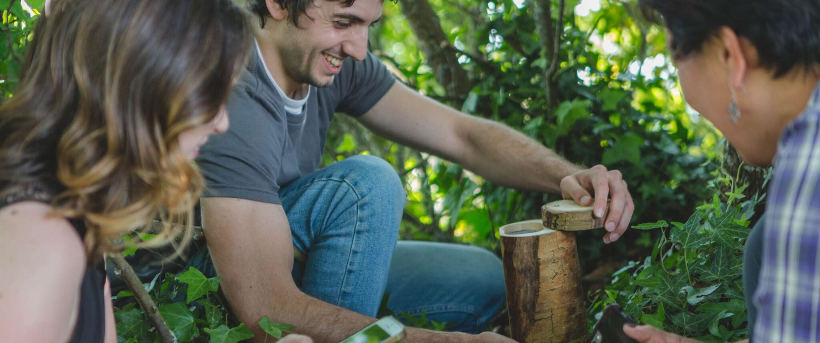 Twee beelden: mist trekt door een rotsachtig berglandschap; koe staat in een weide met bomen.