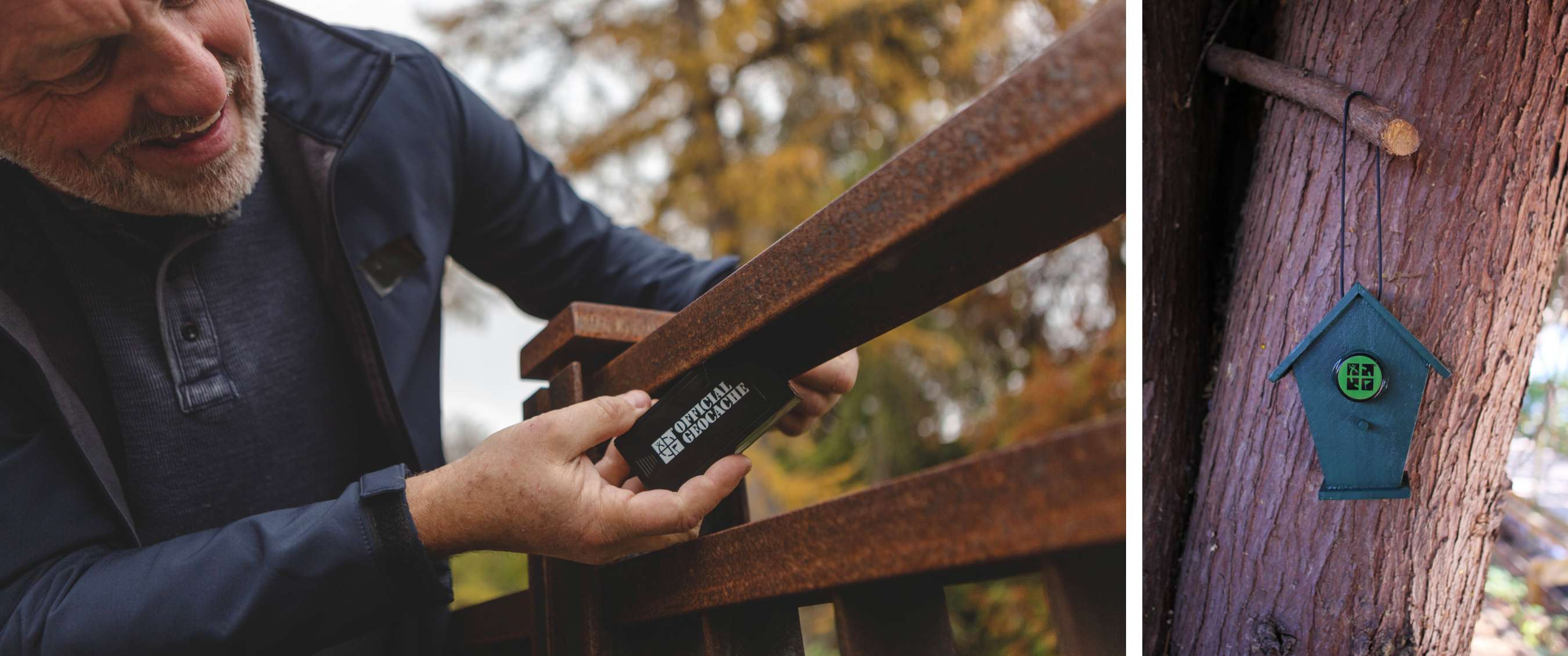 Twee beelden: mist trekt door een rotsachtig berglandschap; koe staat in een weide met bomen.