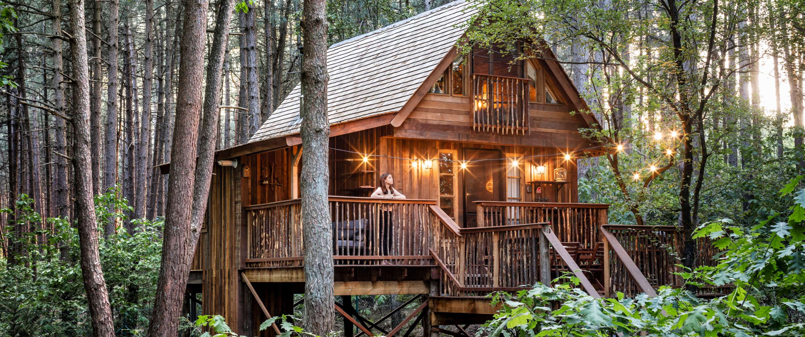 Treelodge boomhut