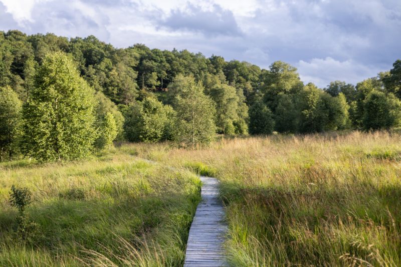 Expeditie Verjaardag: 12 ideeën voor de beste verjaardag ooit