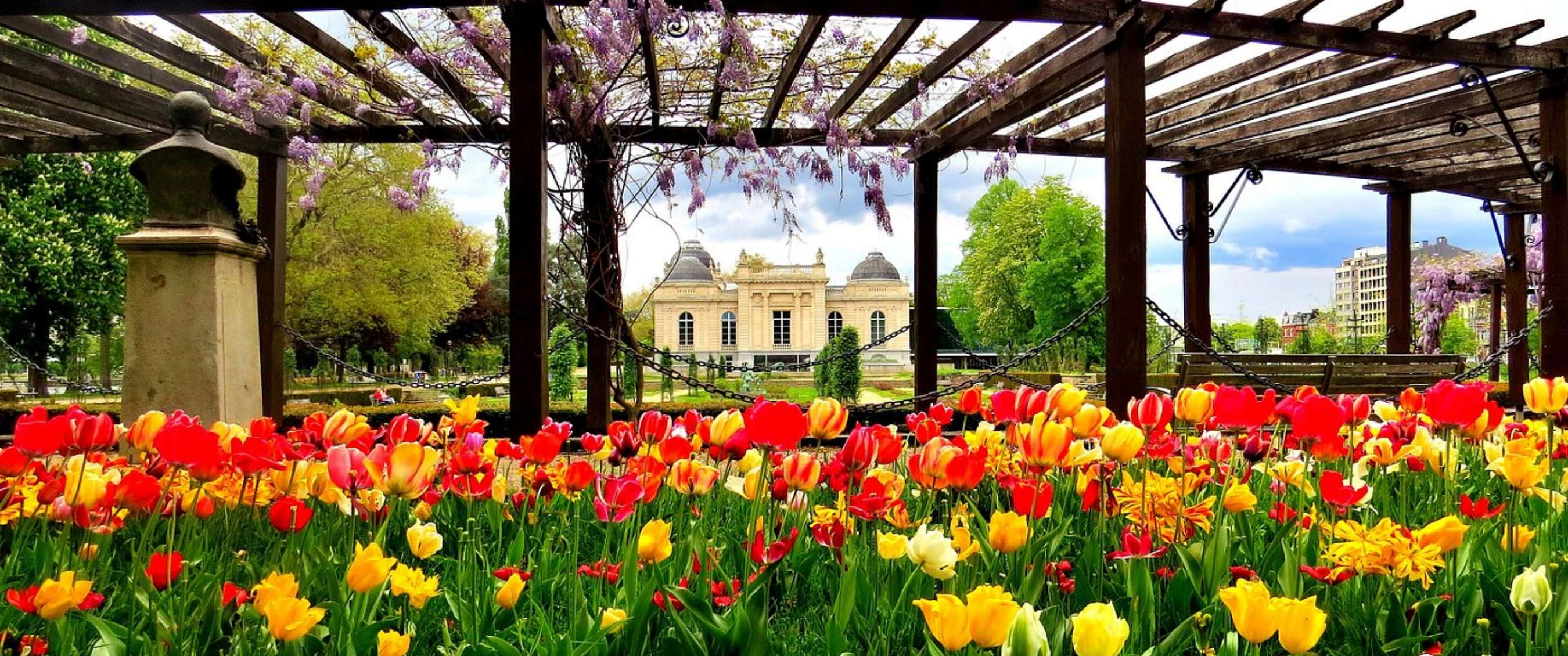 Kleurrijke tulpen onder houten pergola met historisch gebouw in park in Luik.