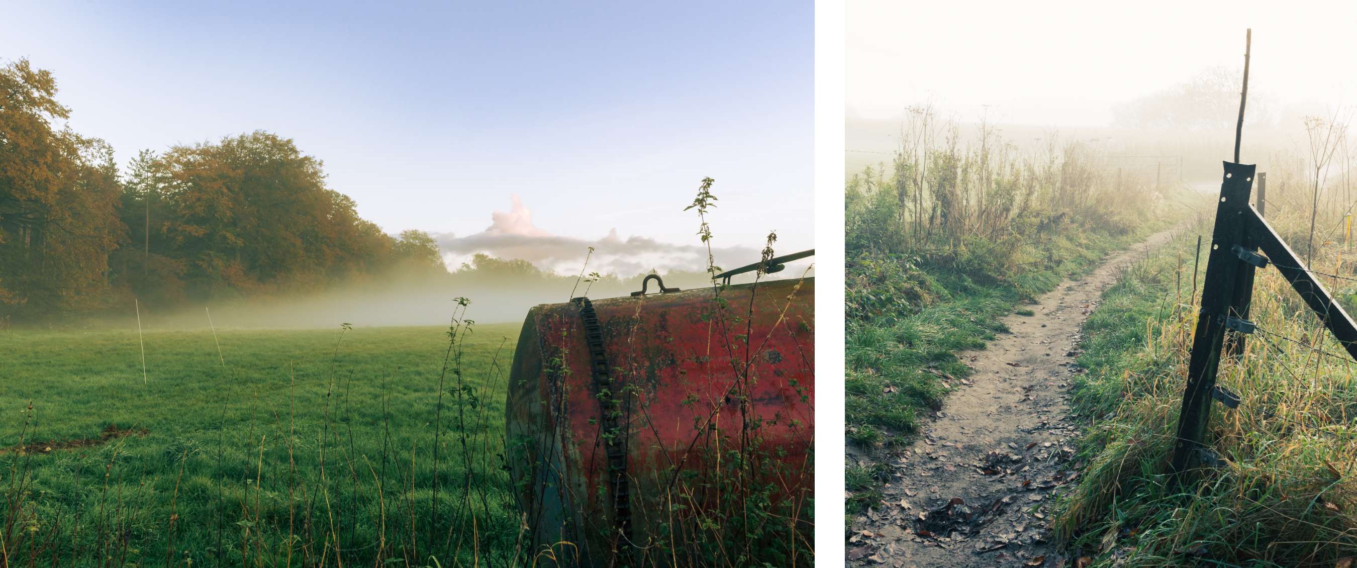 Mistige weide met wandelpad langs een hek en ochtendlicht