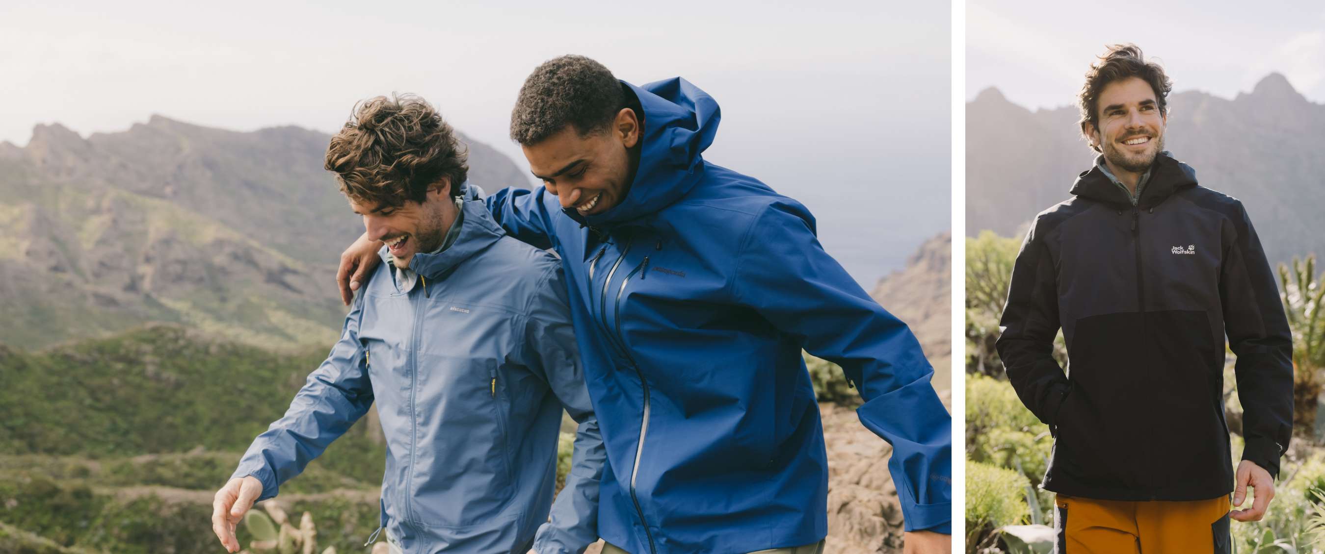 Twee beelden: mist trekt door een rotsachtig berglandschap; koe staat in een weide met bomen.
