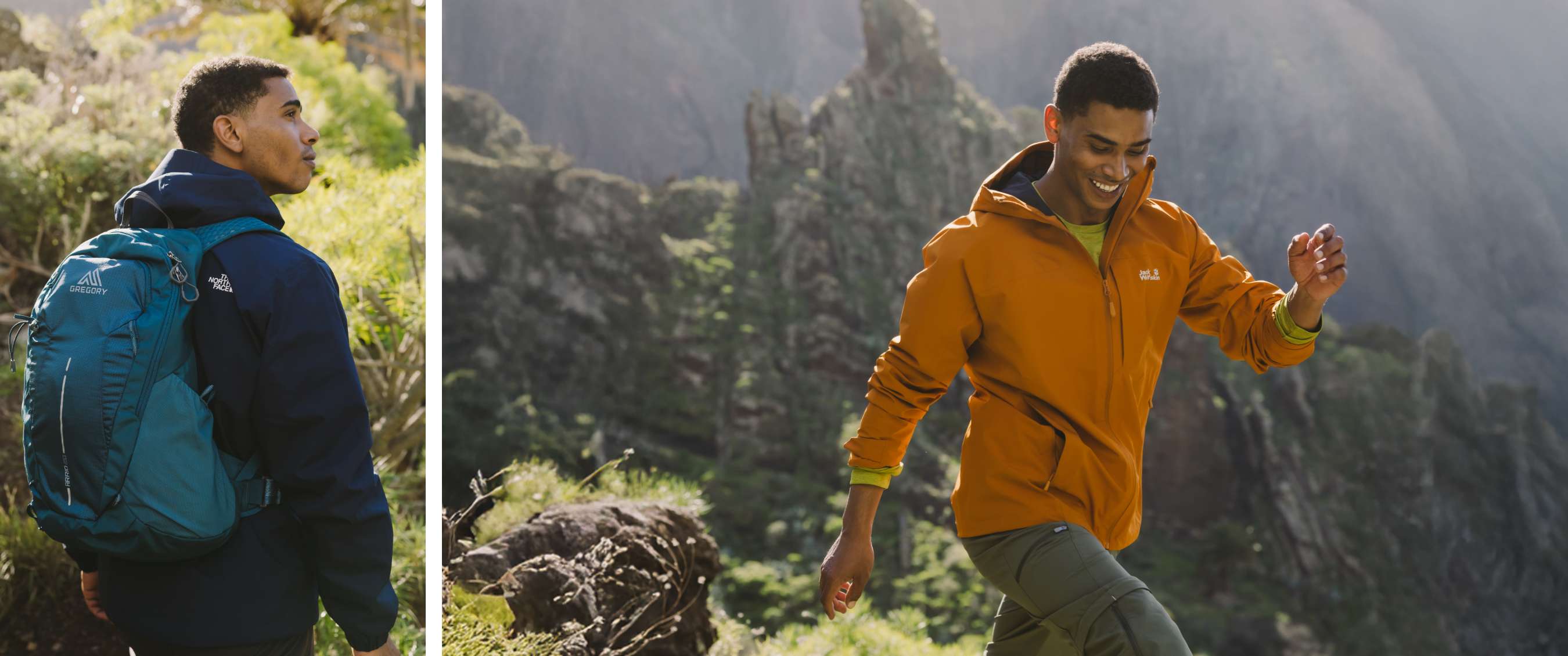 Twee beelden: mist trekt door een rotsachtig berglandschap; koe staat in een weide met bomen.