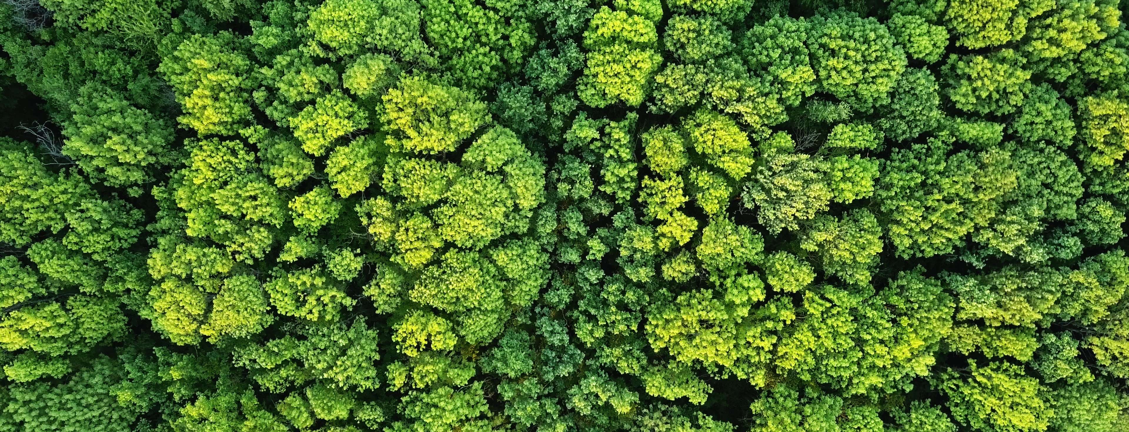 10 vragen aan duurzaamheidsexpert Claudia over bewuster kopen