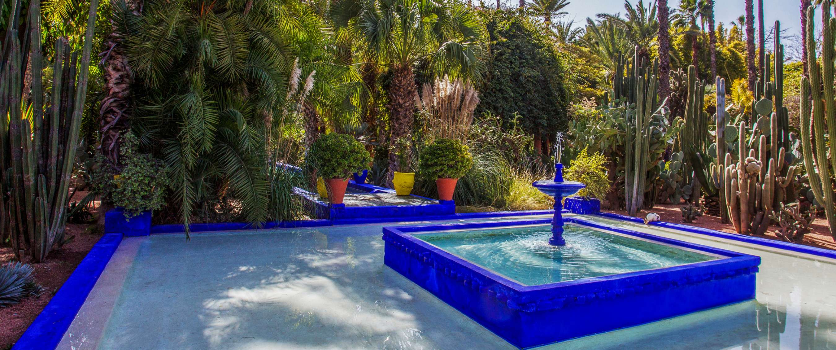 Blauwe vierkante fontein in een weelderige tuin met palmbomen, cactussen en kleurrijke plantenpotten.