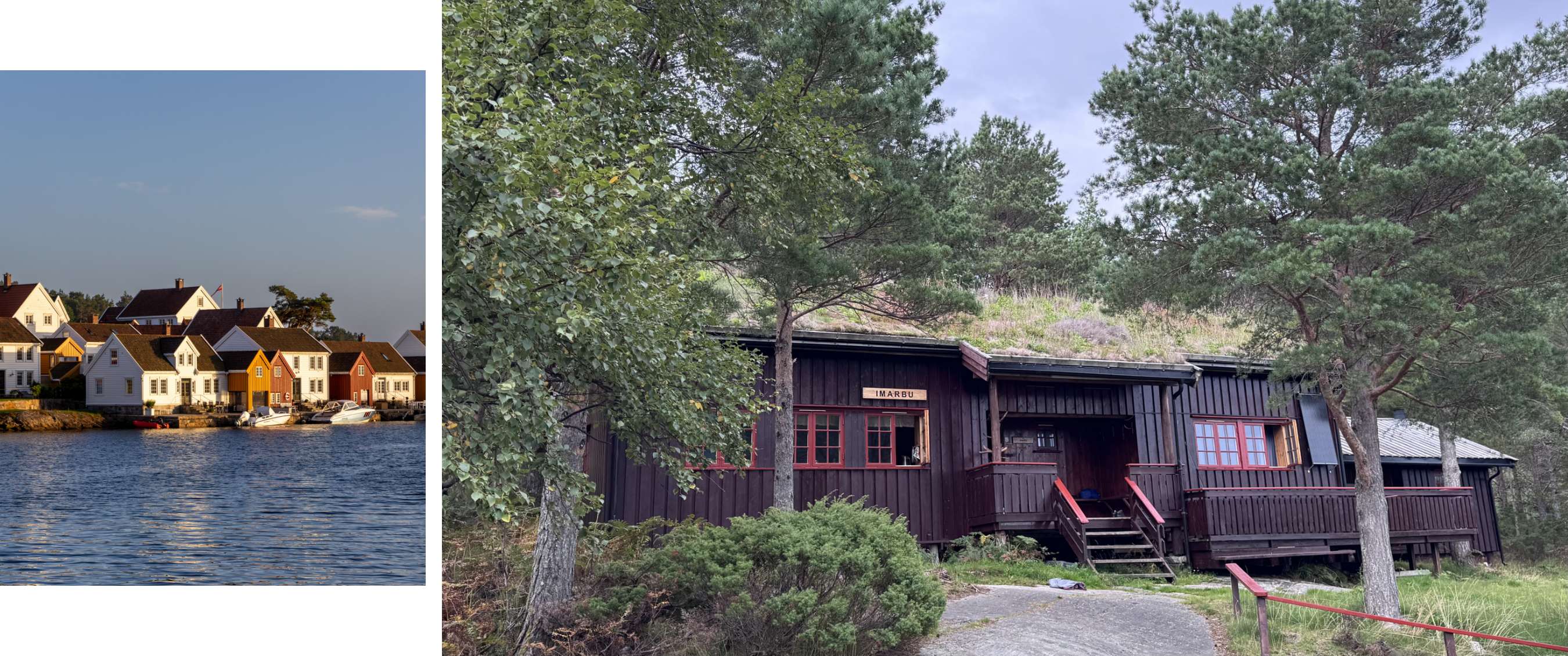 Hut Imarbu tussen dennenbomen, met rode ramen en een dak bedekt met gras en bloemen.