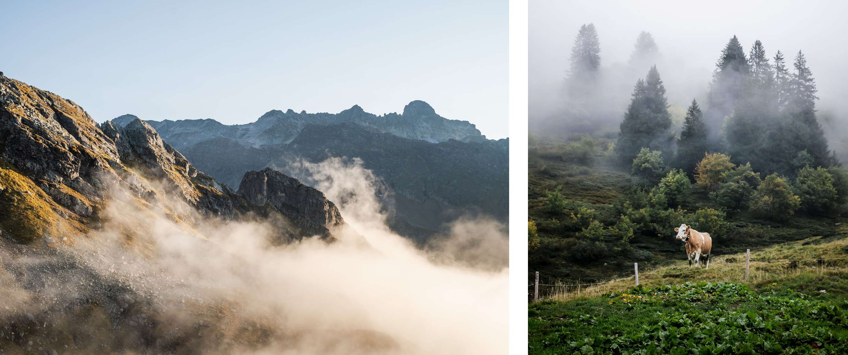 Twee beelden: mist trekt door een rotsachtig berglandschap; koe staat in een weide met bomen.