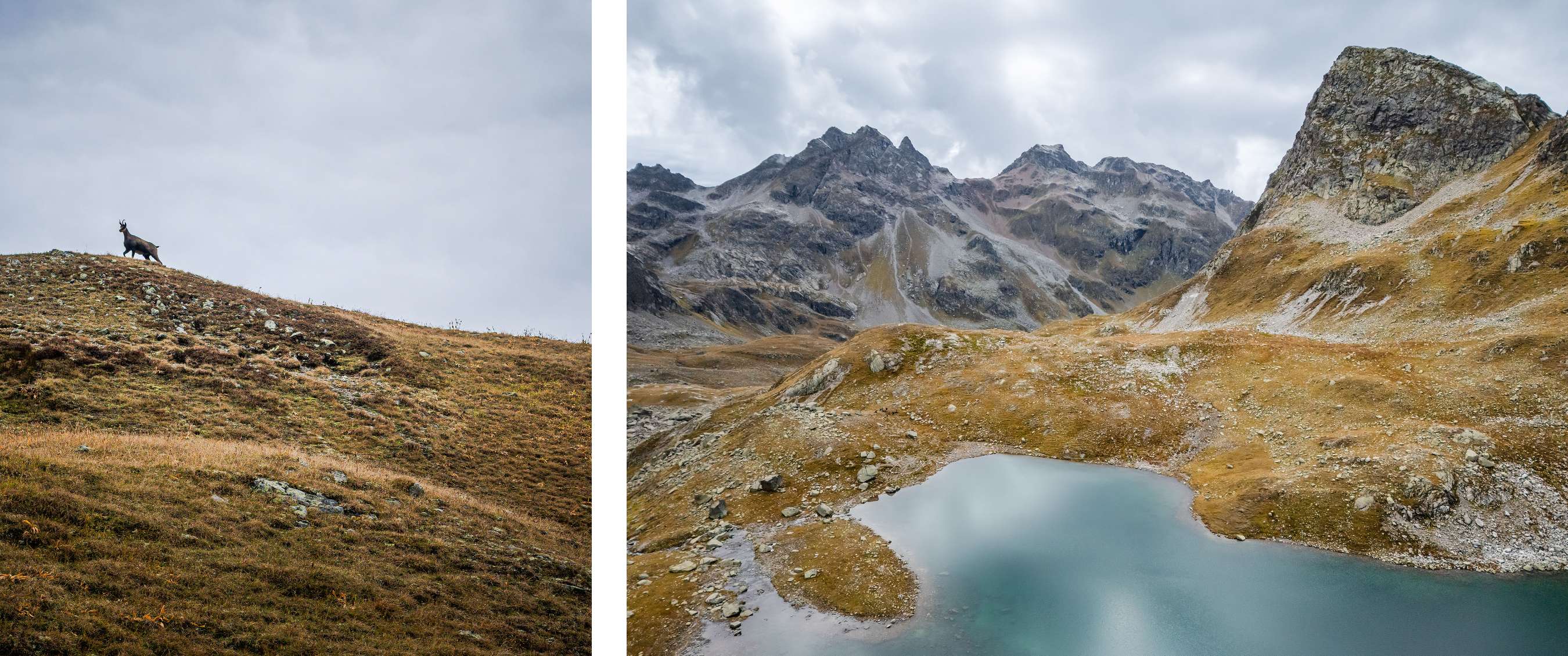 Twee beelden: berggeit staat op berghelling; bergmeer in rotsachtig landschap.
