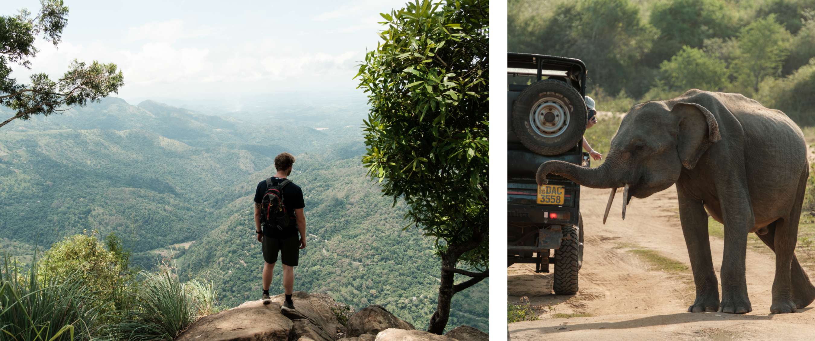 Twee beelden: persoon kijkt uit over een groen berglandschap; olifant naast een jeep op een zandweg