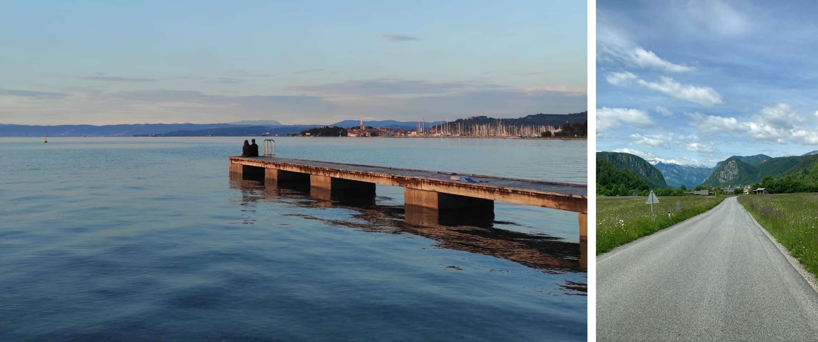 Twee beelden: mist trekt door een rotsachtig berglandschap; koe staat in een weide met bomen.