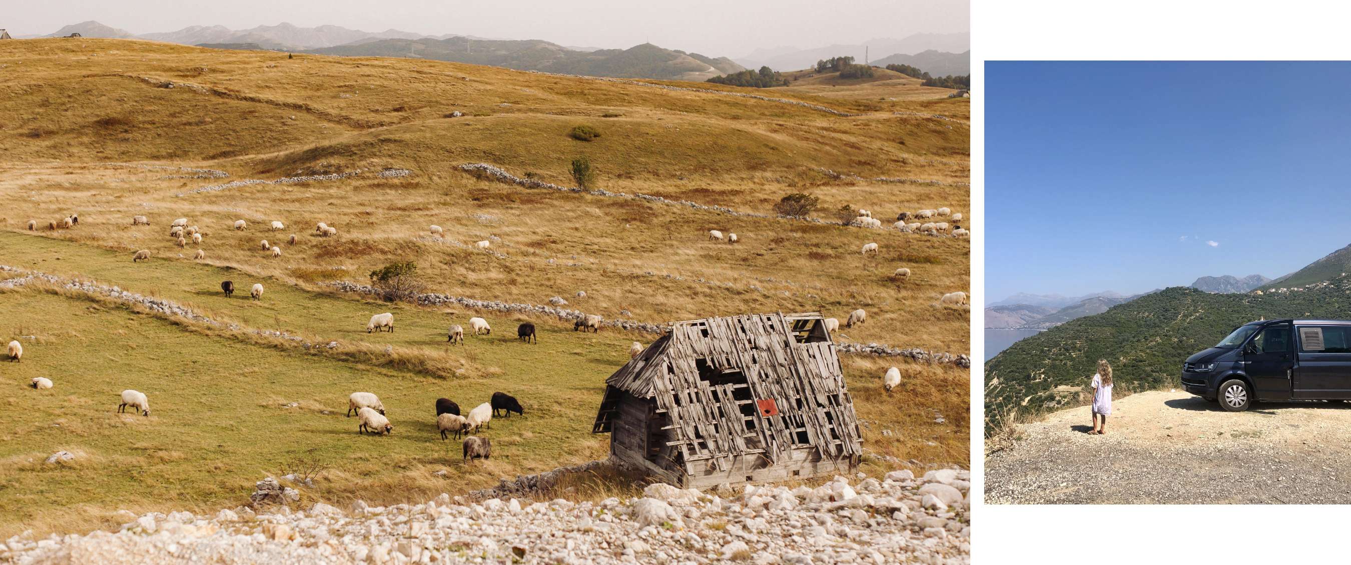Twee beelden: mist trekt door een rotsachtig berglandschap; koe staat in een weide met bomen.