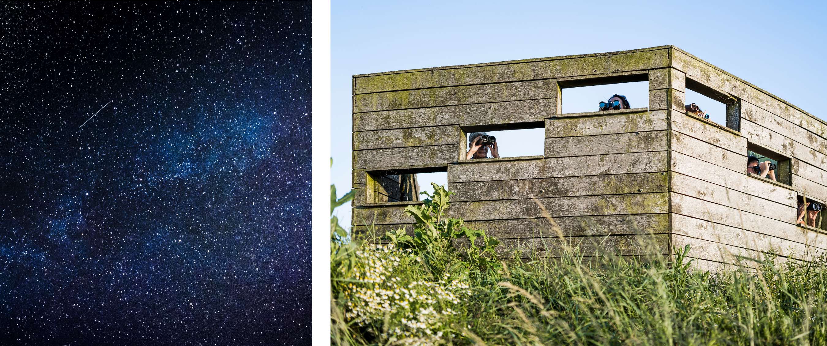 Twee beelden: Sterrenhemel met Melkweg en een vallende ster; houten vogelkijkhut met personen die door kijkgaten met verrekijkers observeren.