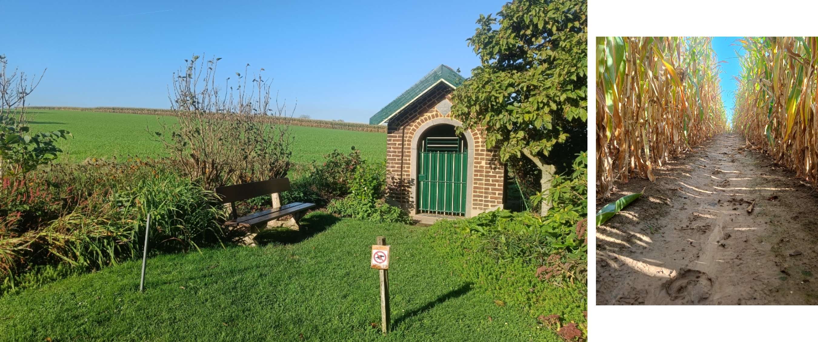 Twee beelden: bank naast kleine bakstenen kapel in groen veld; zandpad tussen hoge maïsplanten.