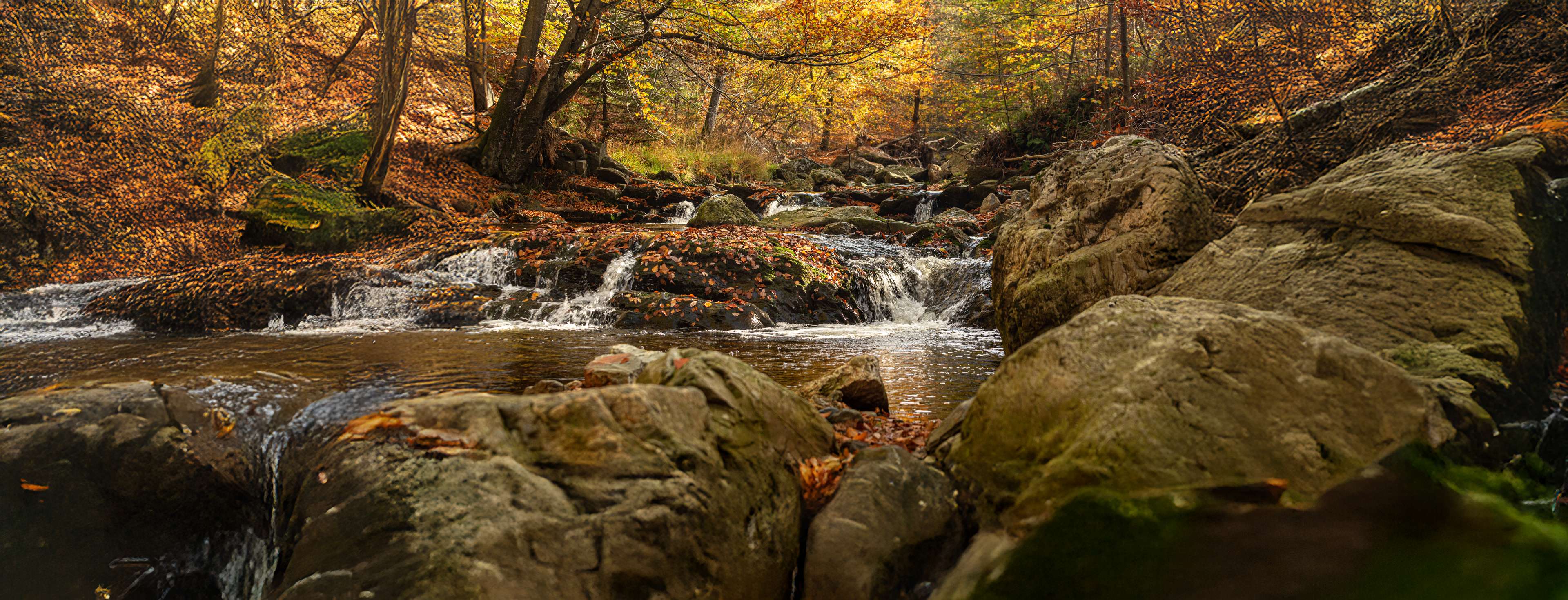 De mooiste wandelingen in België