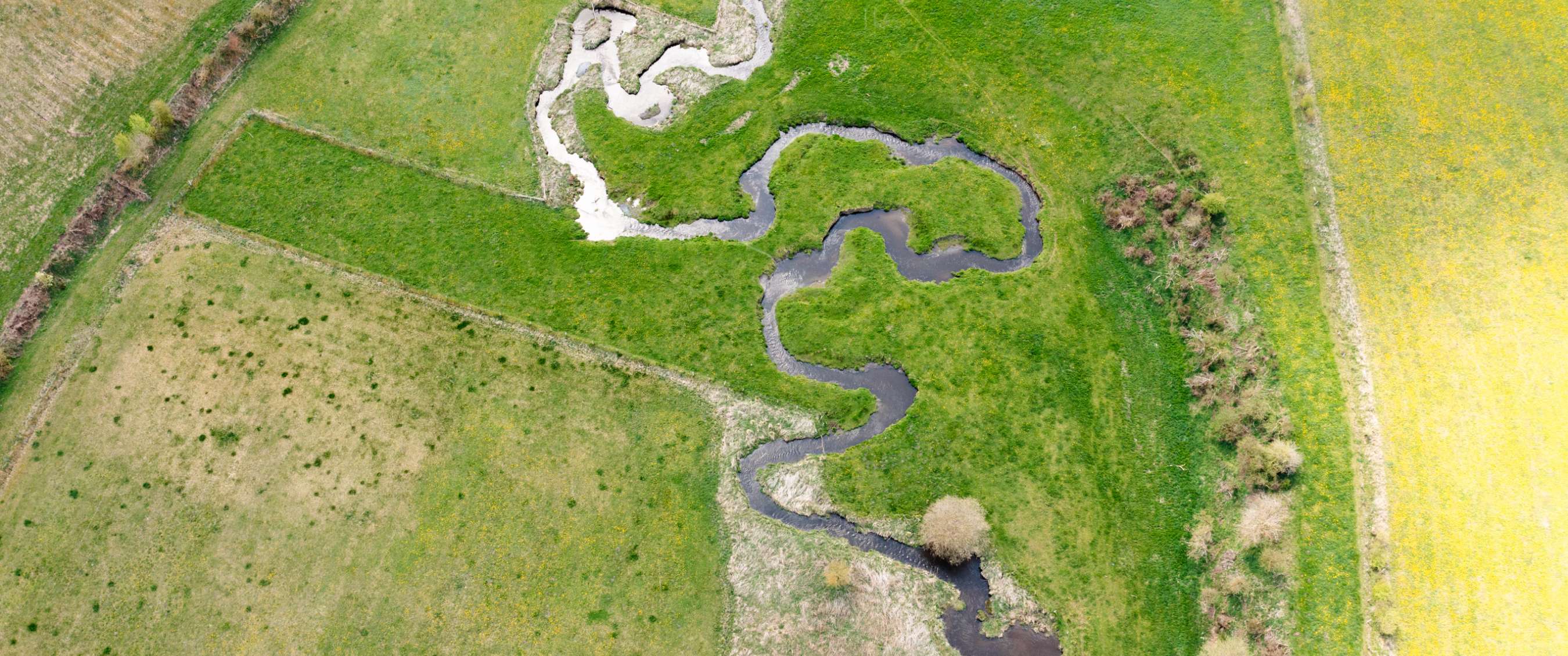 Kronkelende waterloop tussen groene velden vanuit de lucht gezien.