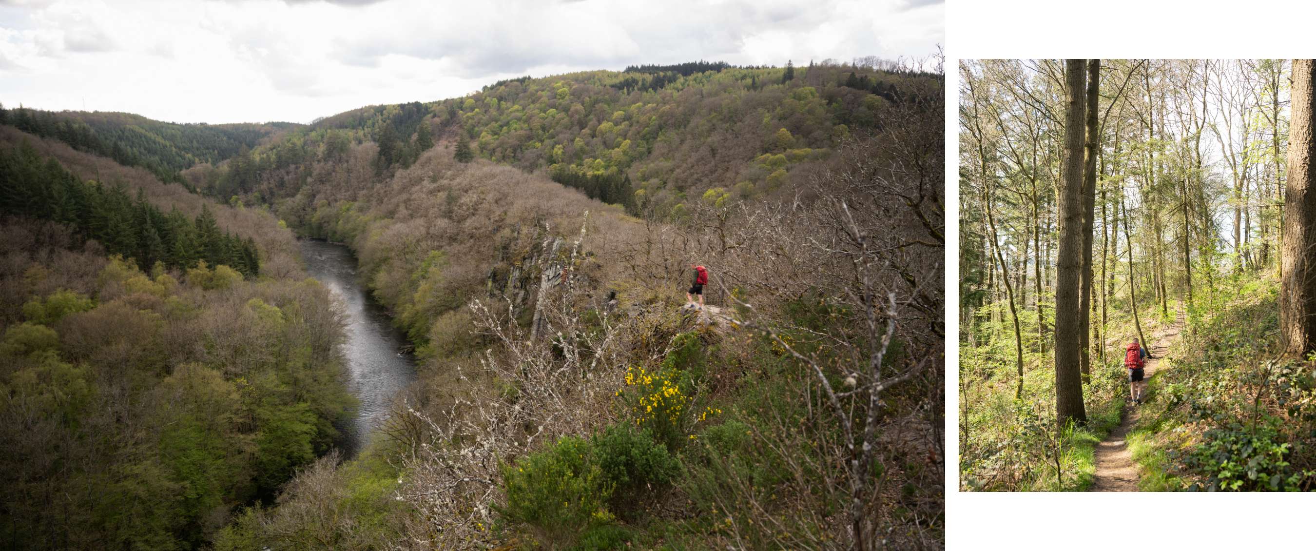 Twee beelden: heuvelachtig boslandschap met wandelaar en smal pad tussen bomen.