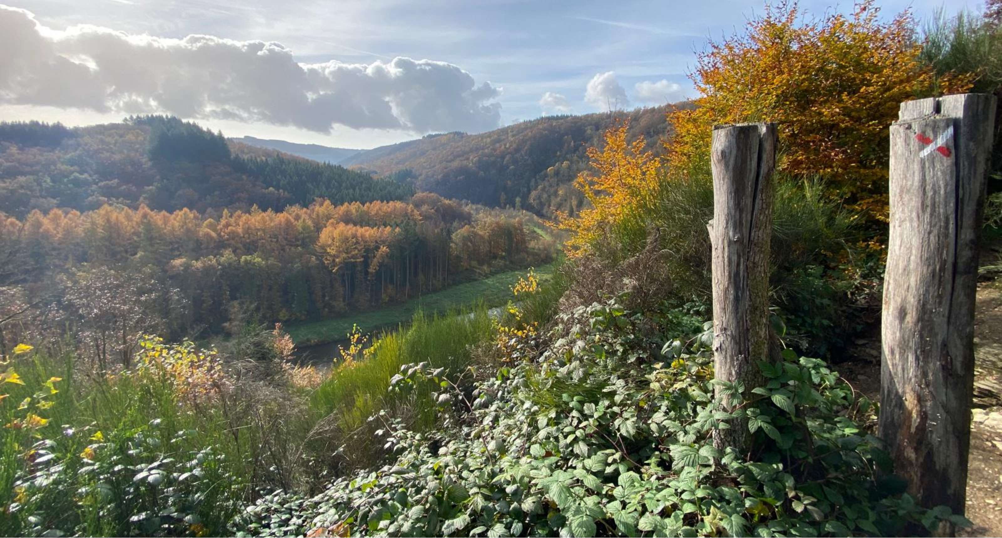 Zicht op vallei en bossen in herfstkleuren vanaf een wandelpad