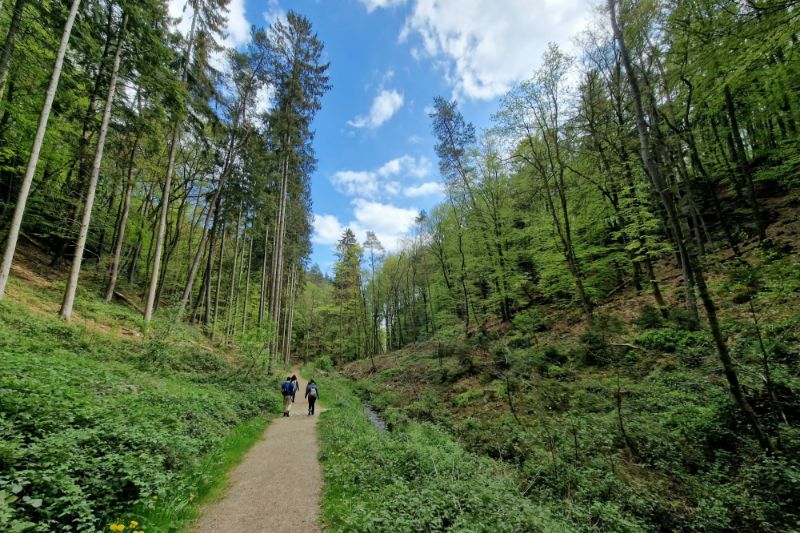 De mooiste herfst- en winterwandelingen in Luxemburg