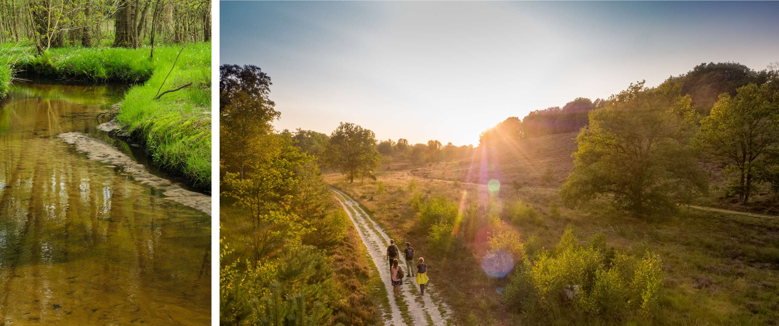 Vier wandelaars lopen over een zandpad door een groen landschap in laag zonlicht.