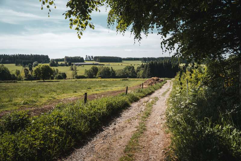 Treinstappers in Vlaanderen: GR's van station naar station