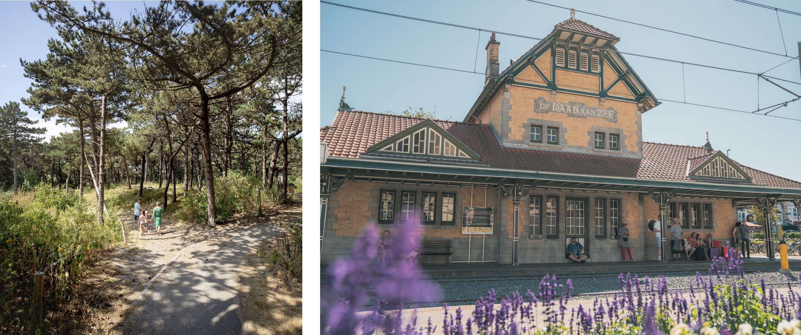 Twee beelden: mensen wandelen op pad door dennenbos; station De Haan aan Zee met reizigers op perron.