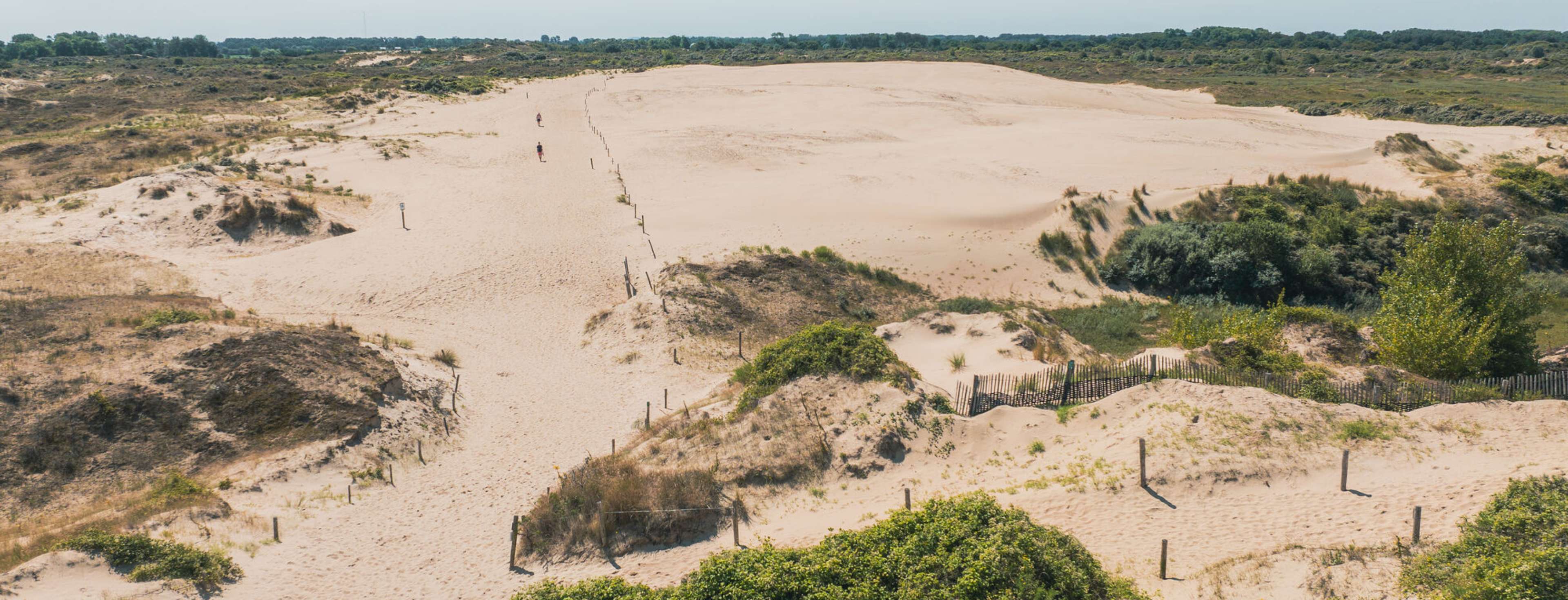 Wandelen aan zee: inspiratie voor unieke wandelroutes