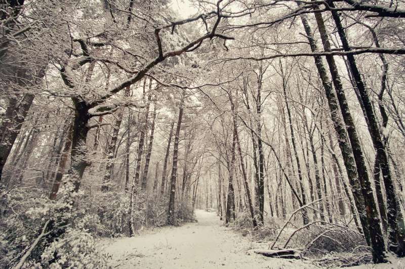 Winterwandeling in de sneeuw: de mooiste routes in België