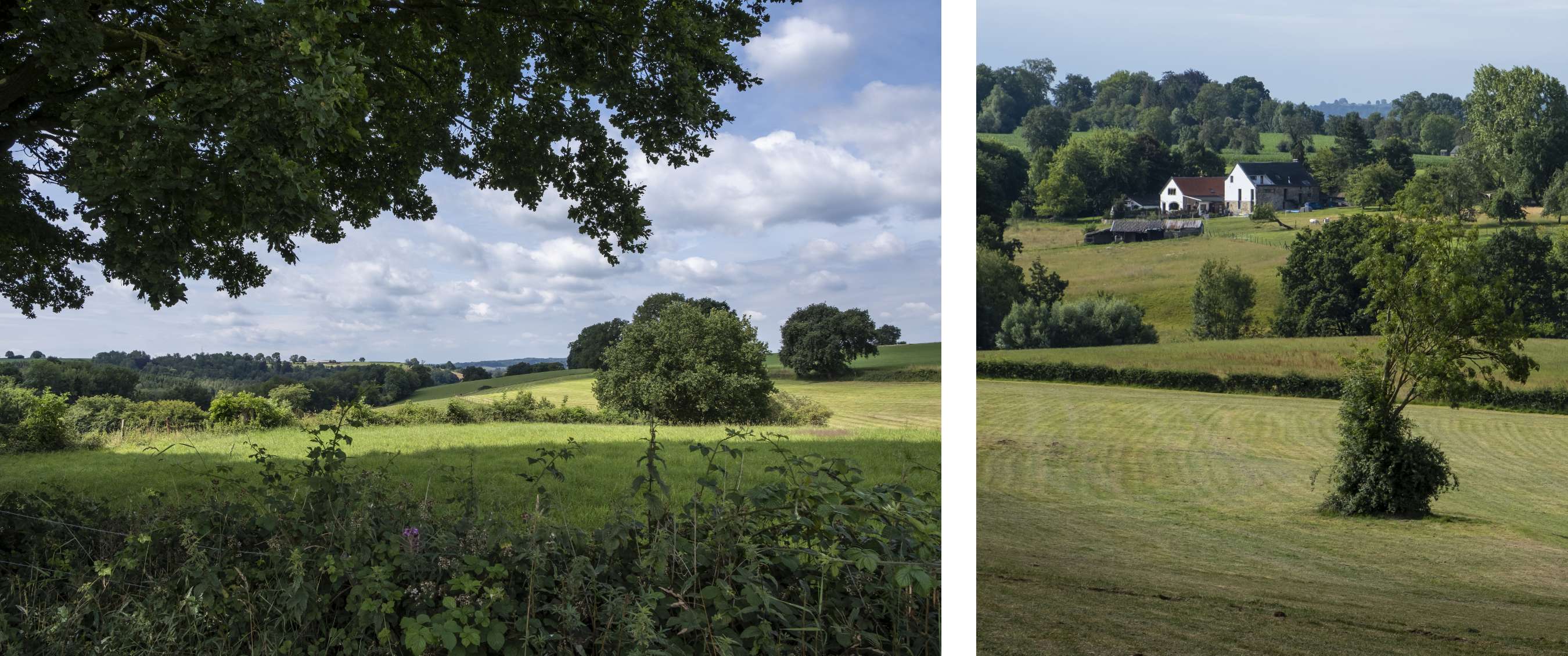Twee beelden: vergezicht met bomen en weiden; boerderij in open heuvellandschap.