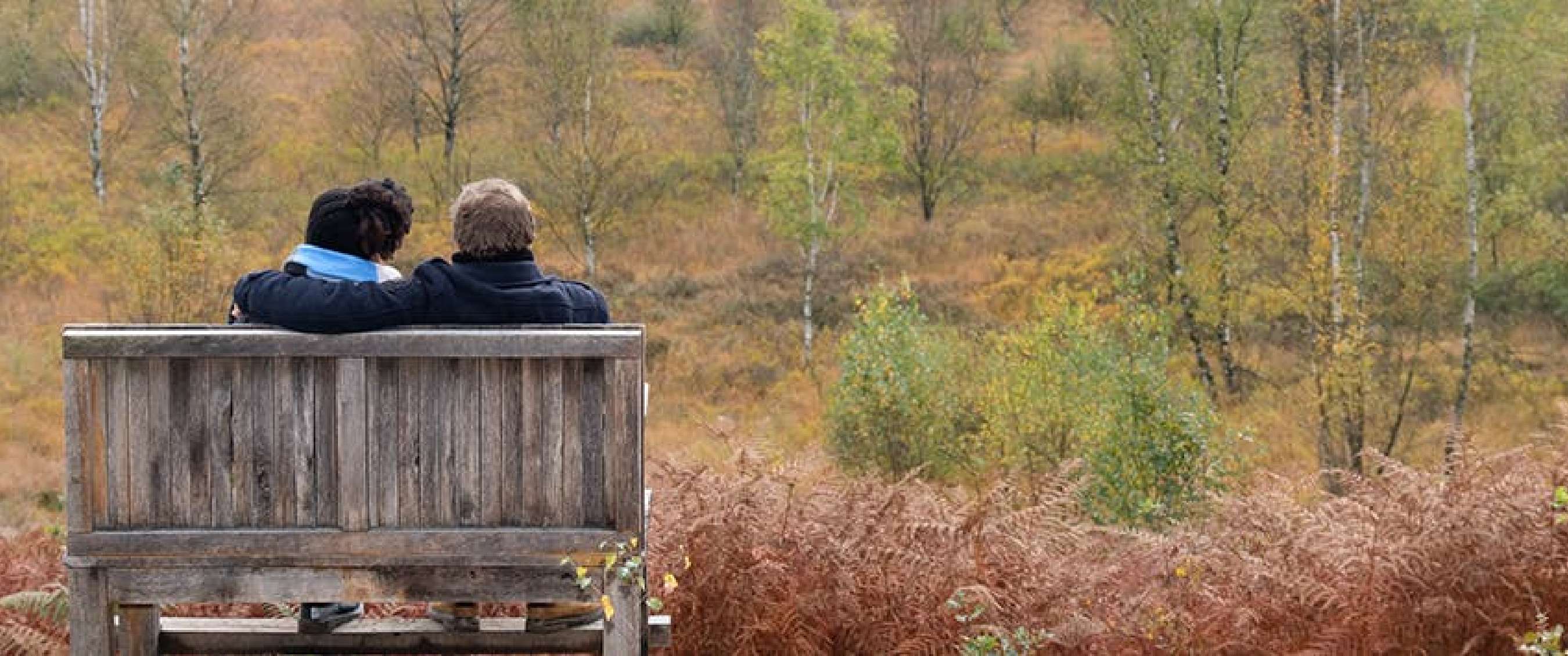 Twee personen op een bank met uitzicht op struiken, varens en dunne bomen in herfstkleuren.