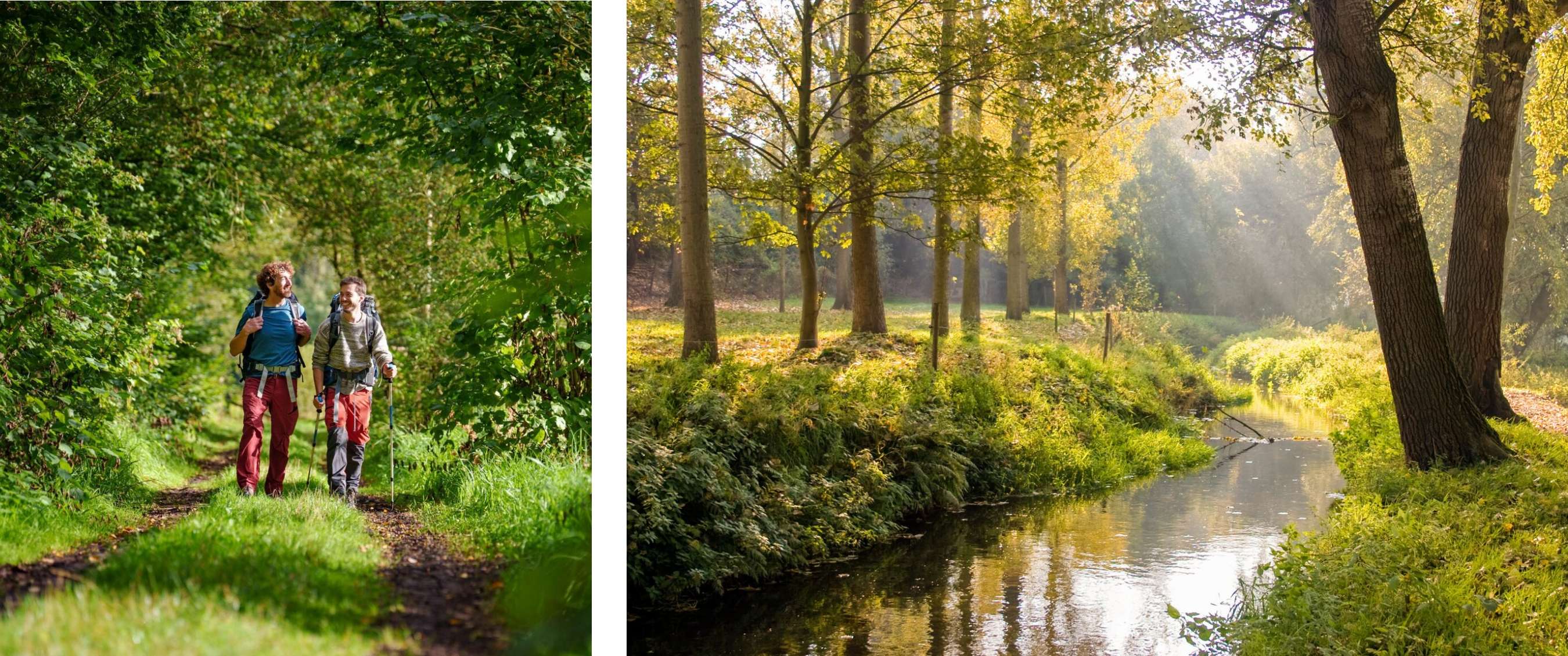 Twee beelden: twee personen wandelen door het bos; rustige waterloop met bomen en zonnestralen.