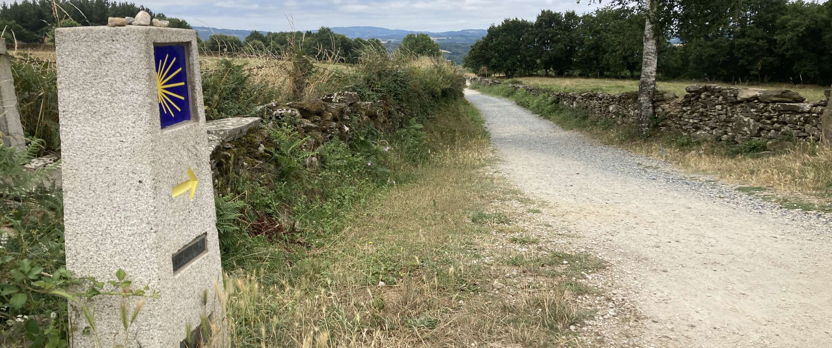 Pelgrimspaal met schelp en gele pijl langs een grindpad in open landschap.