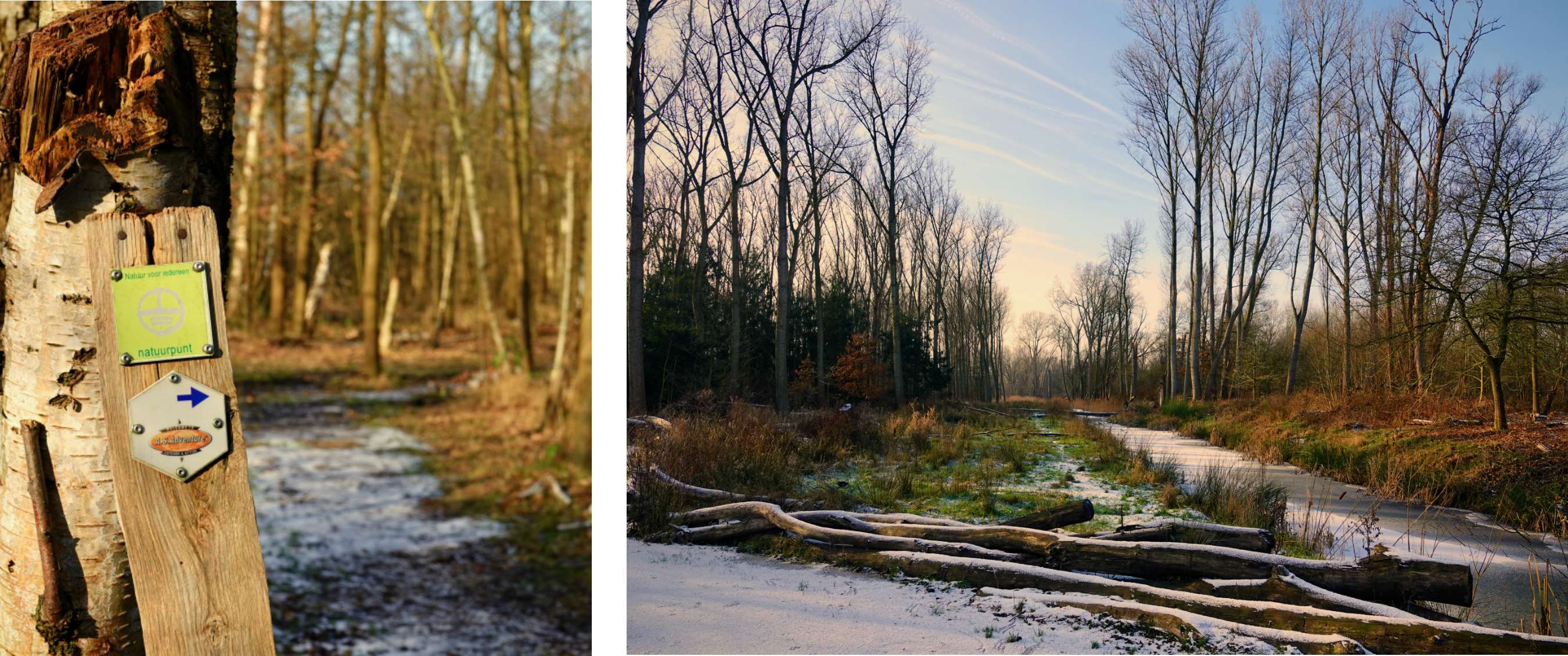 Twee beelden: wandelknooppuntbord op een boom in het bos; winterlandschap met bevroren beek en kale bomen.