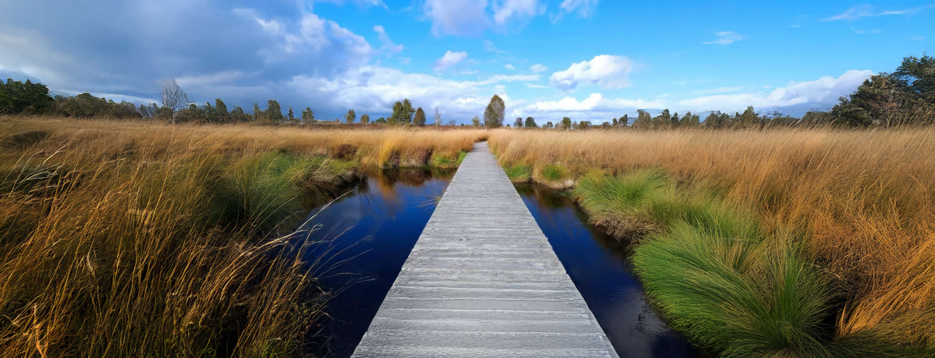 De 5 favoriete wandelknooppuntenroutes van influencers