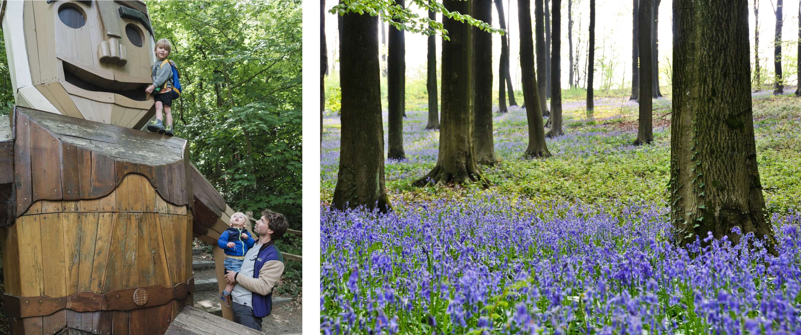 Twee beelden: volwassenen en kinderen bij een houten figuur op een bosrijke wandelroute; een hert zichtbaar in dicht bos