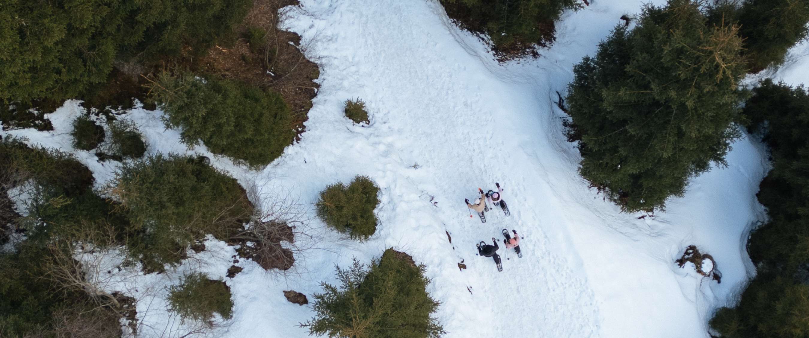 Vier sneeuwschoenwandelaars op een besneeuwd bospad, van bovenaf gezien.
