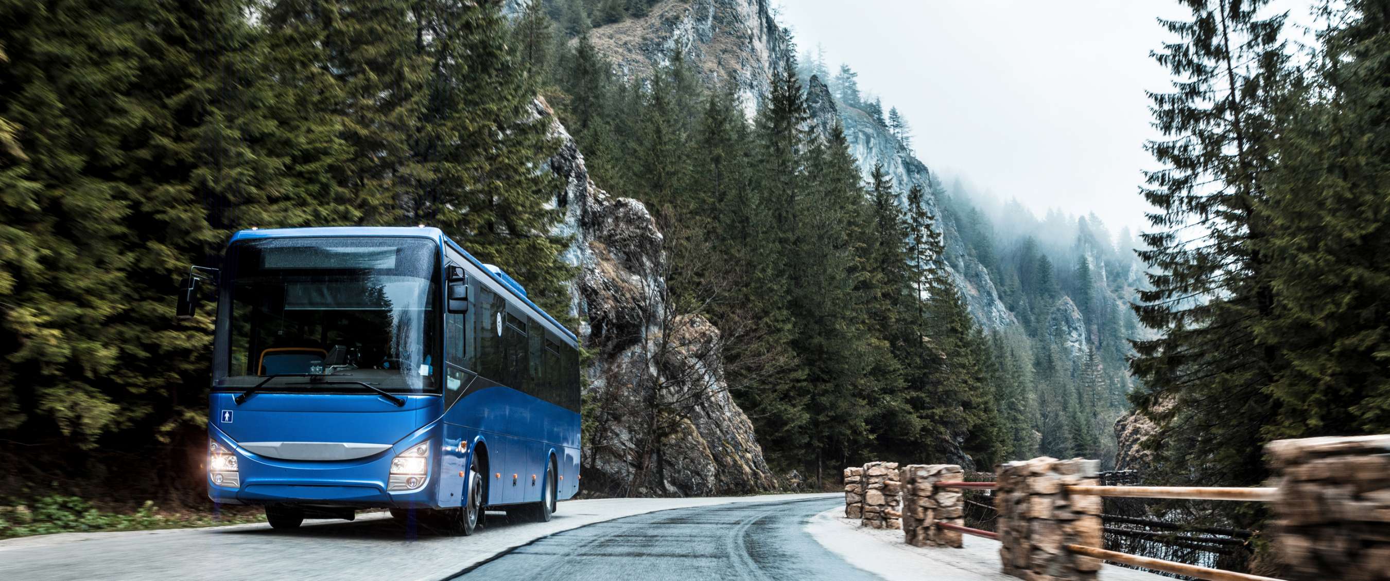Blauwe bus rijdt door een bochtige bergweg tussen dennenbomen.