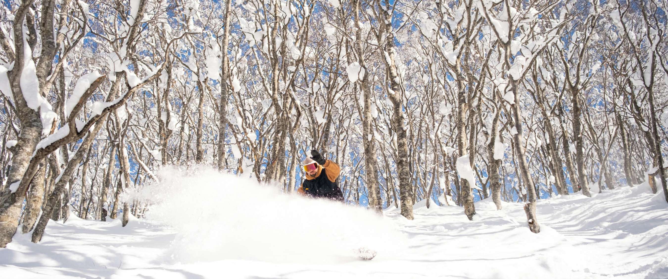 Snowboarder glijdt door verse sneeuw tussen met sneeuw bedekte bomen.