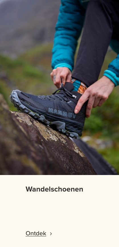 Wandelschoenen